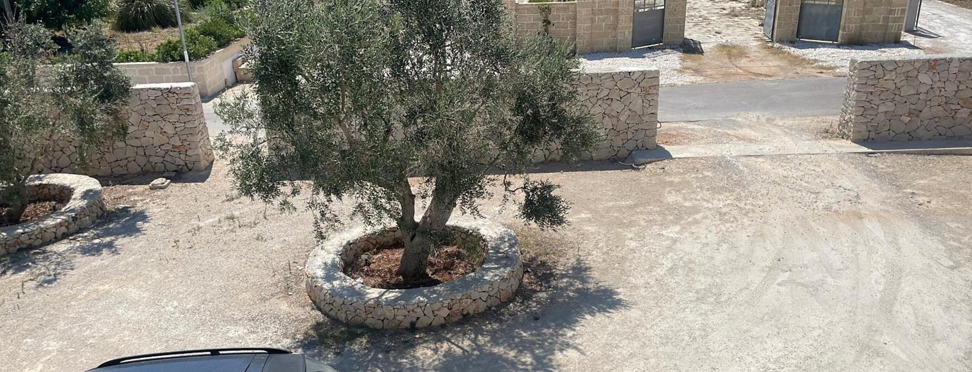 Loft31 - Monolocale In Campagna Villa Galatone Kültér fotó